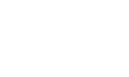 Mir Logo